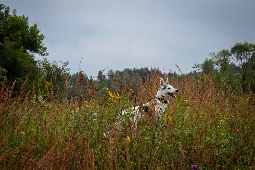 Фотография автора  Мария