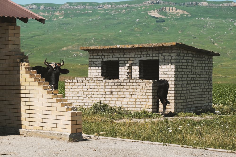 Photograph by Дарья