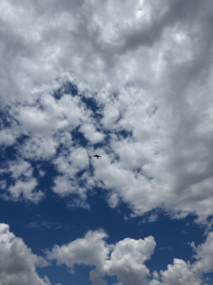 Photograph by Бойкова Наталия