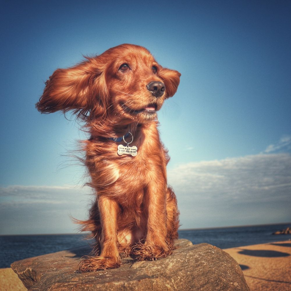 Photograph by Victoria Mogulyan