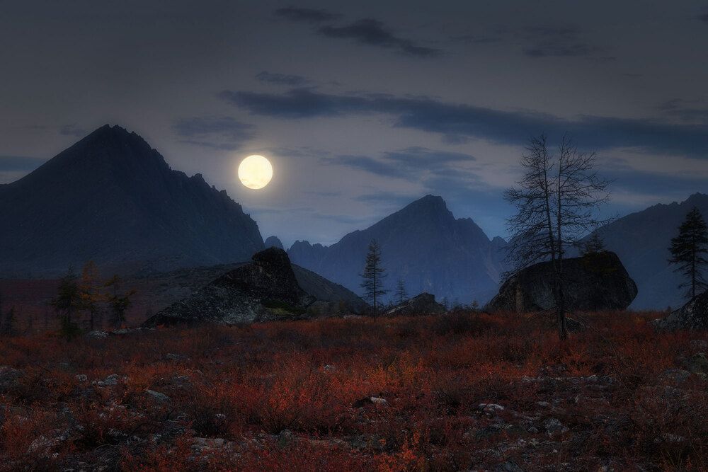 Photograph by Морозов Сергей