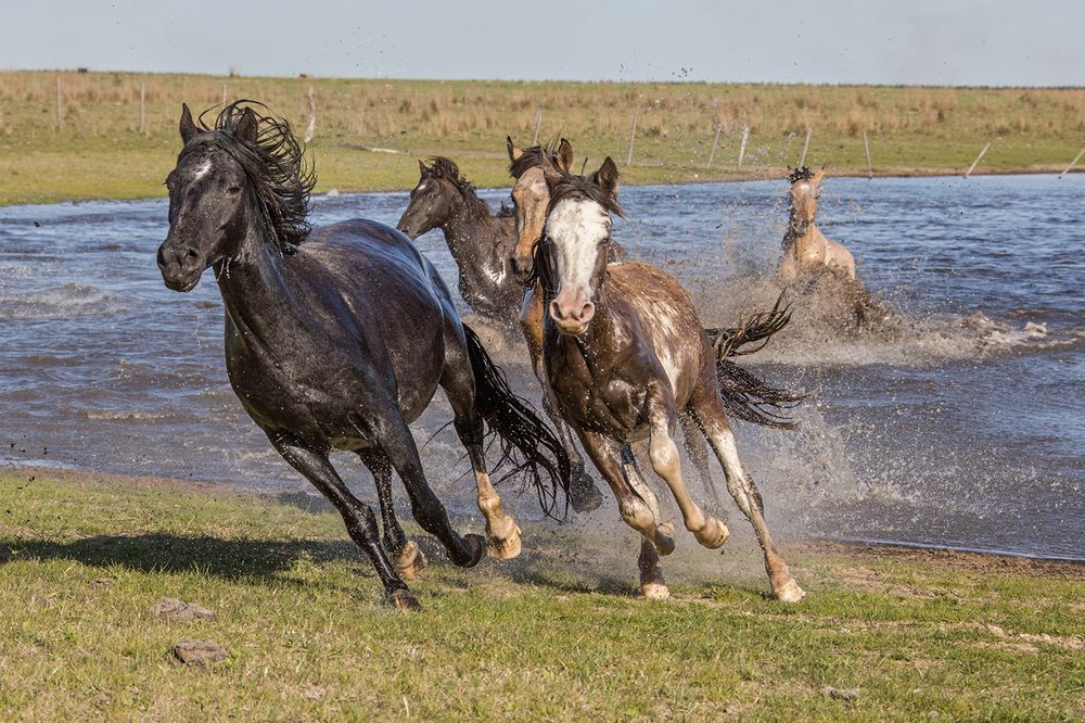 Фотография автора Marina Martorelli