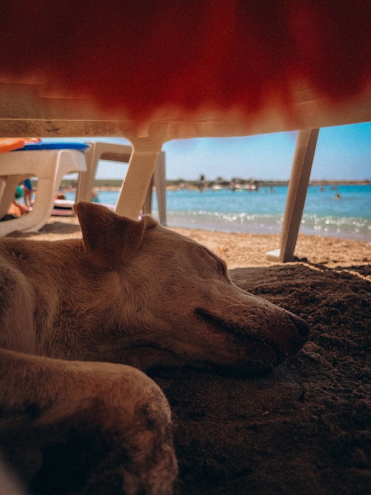 Photograph by Елена Михалева