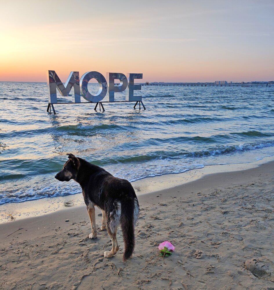 Шелест волн прибрежных