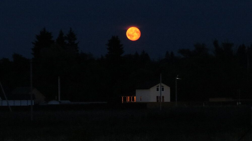 Photograph by Елена Казарина