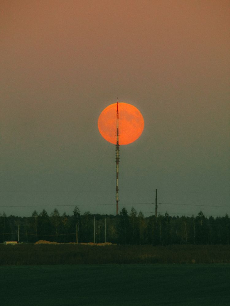 Photograph by Игорь Сухаревич