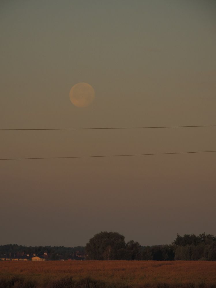 Photograph by Игорь Сухаревич