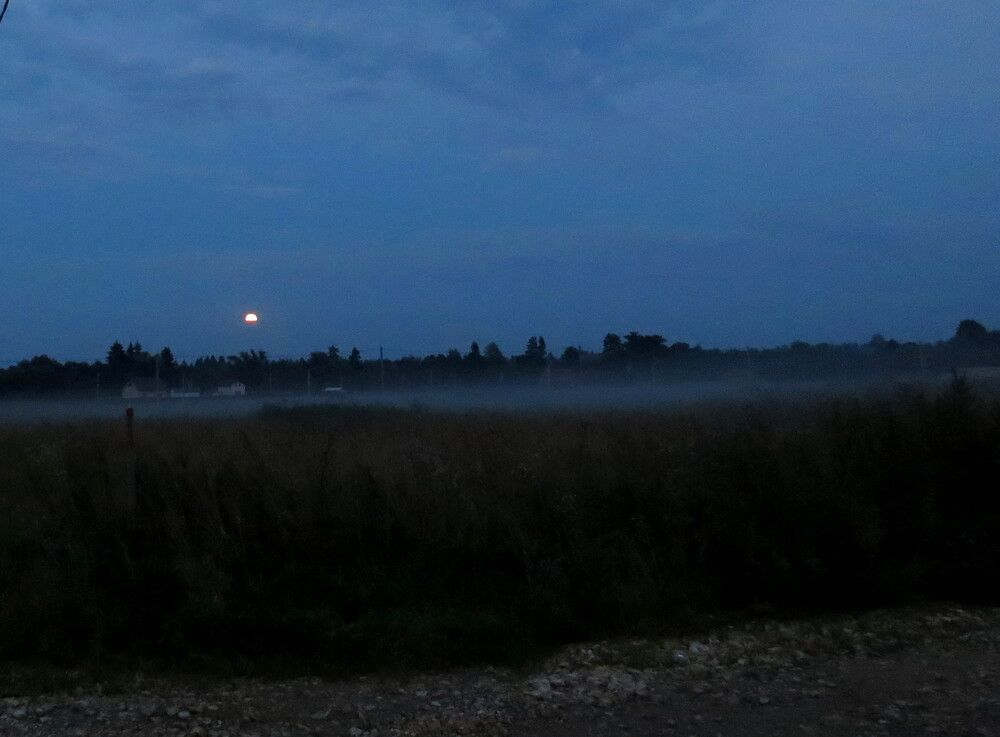 Photograph by Елена Казарина