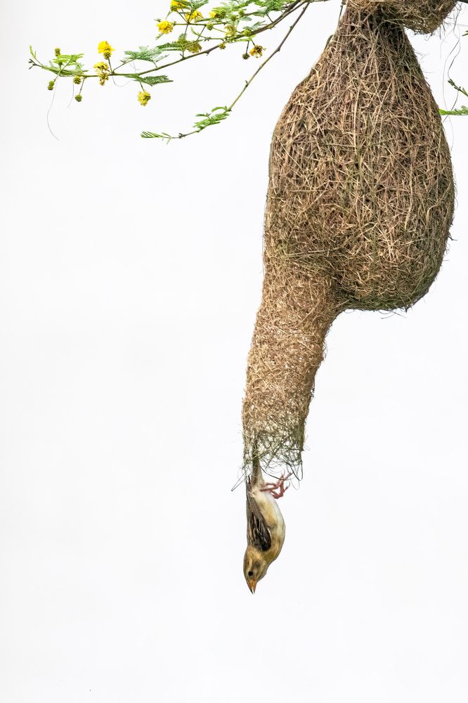 Photograph by Navjot Singh