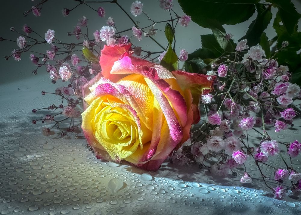 Photograph by Елена Болдырева