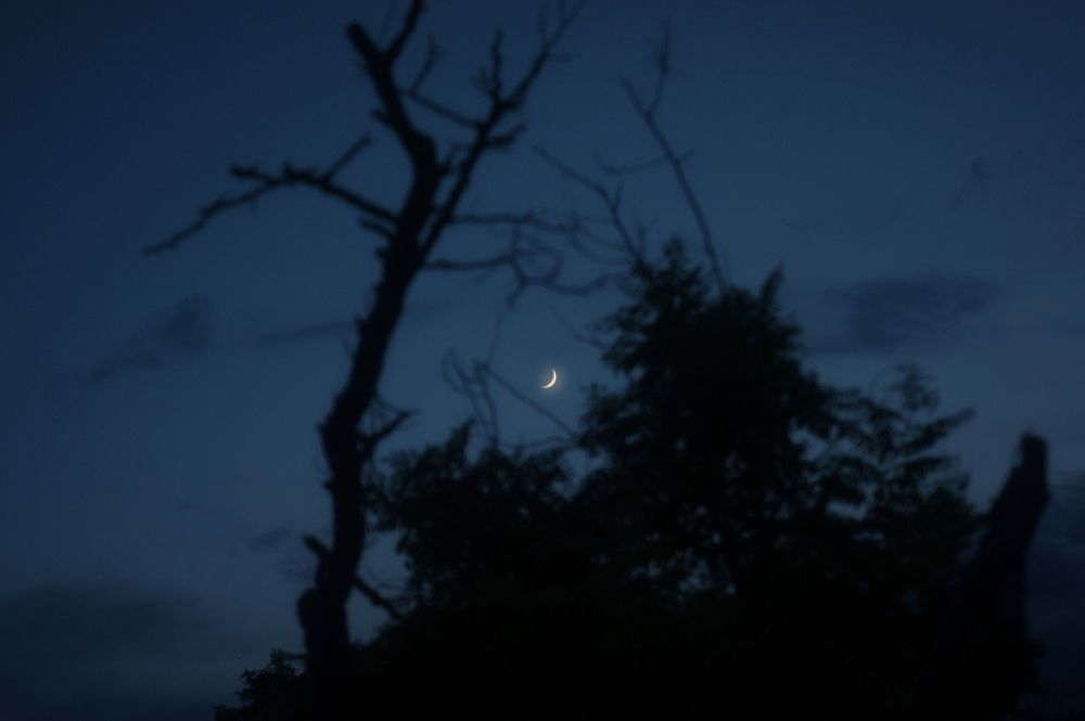 Photograph by Анастасия Конюхова