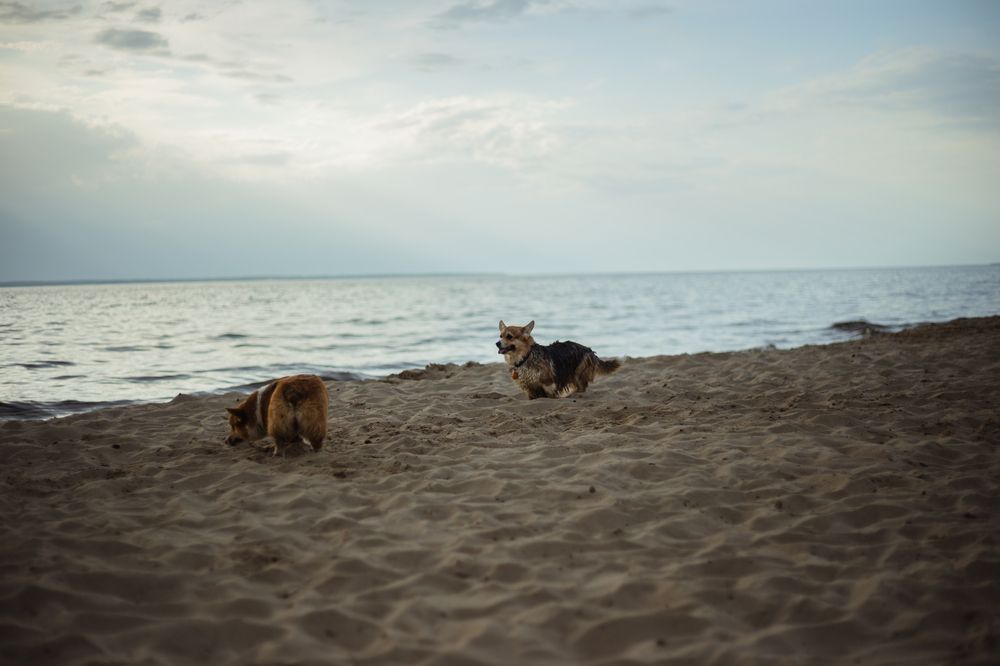 Photograph by Софья Титова