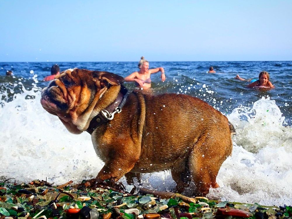 Выход морского монстра.