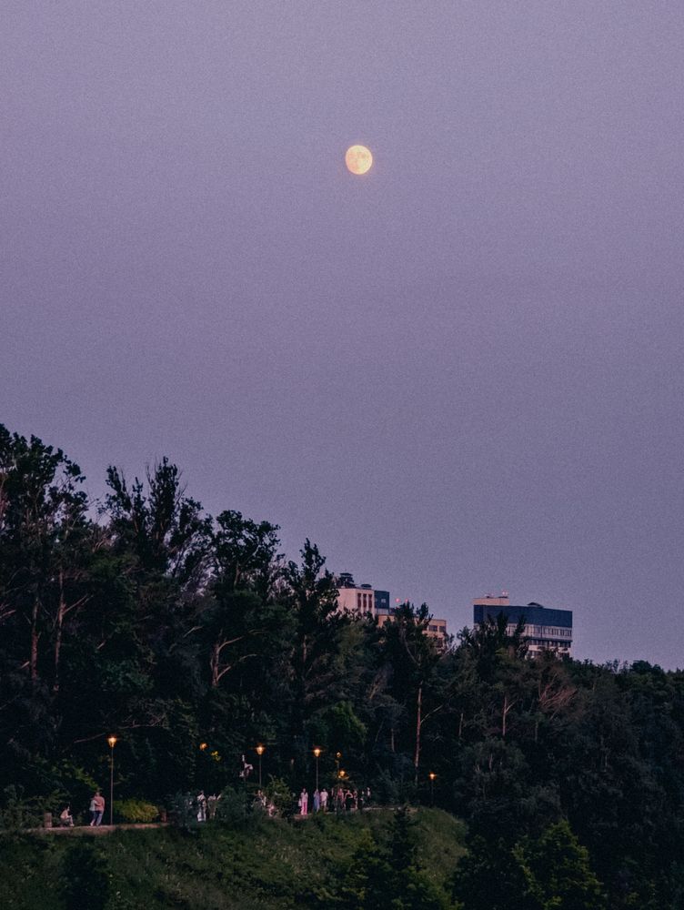 Photograph by Софья Титова