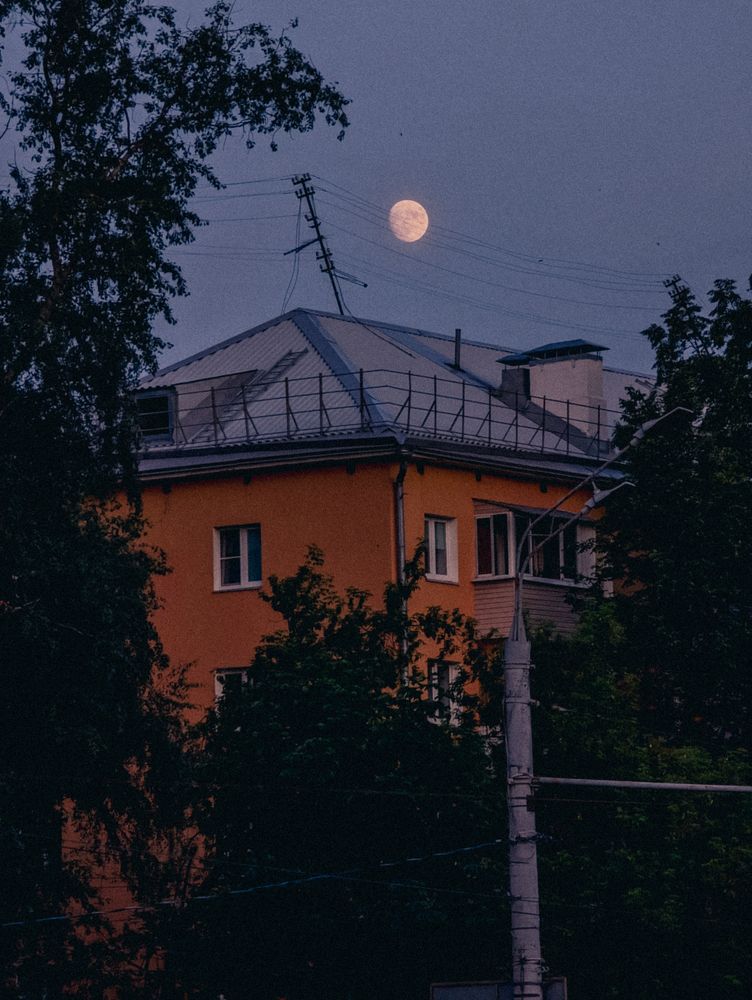 Photograph by Софья Титова