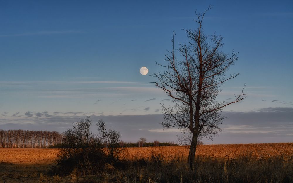 Photograph by Сергей Дишук