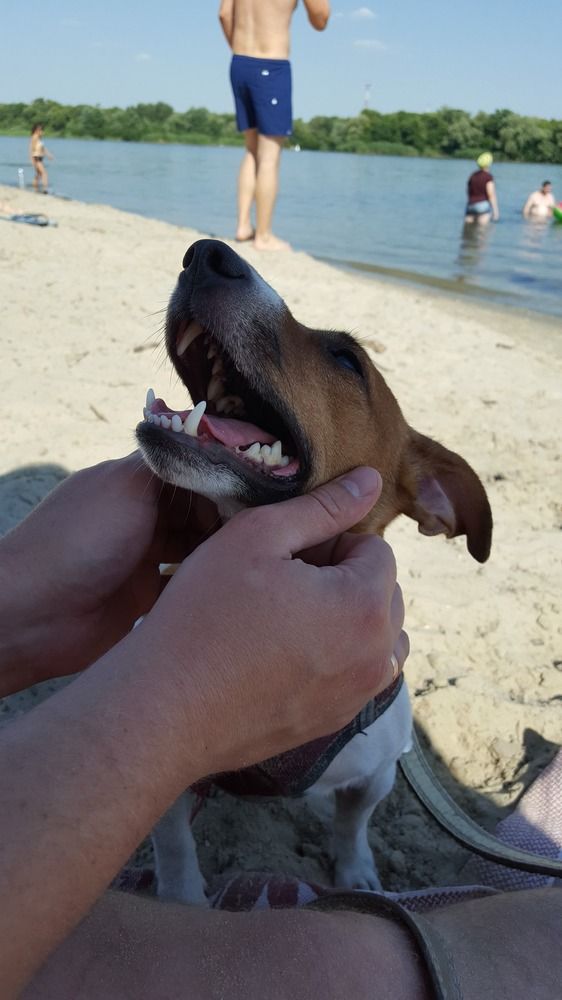 Photograph by Наталия Полянко