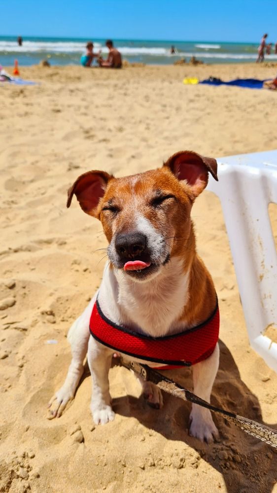 Photograph by Наталия Полянко