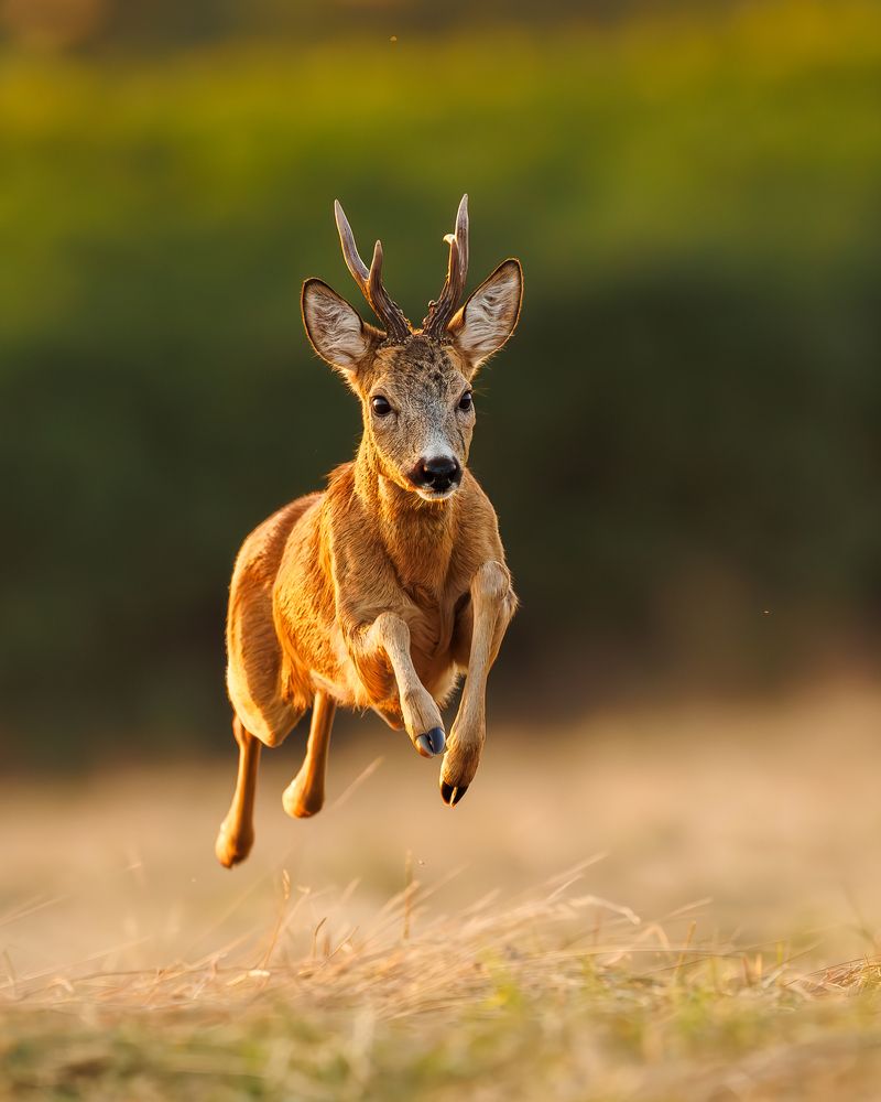 Photograph by Patryk Kurc