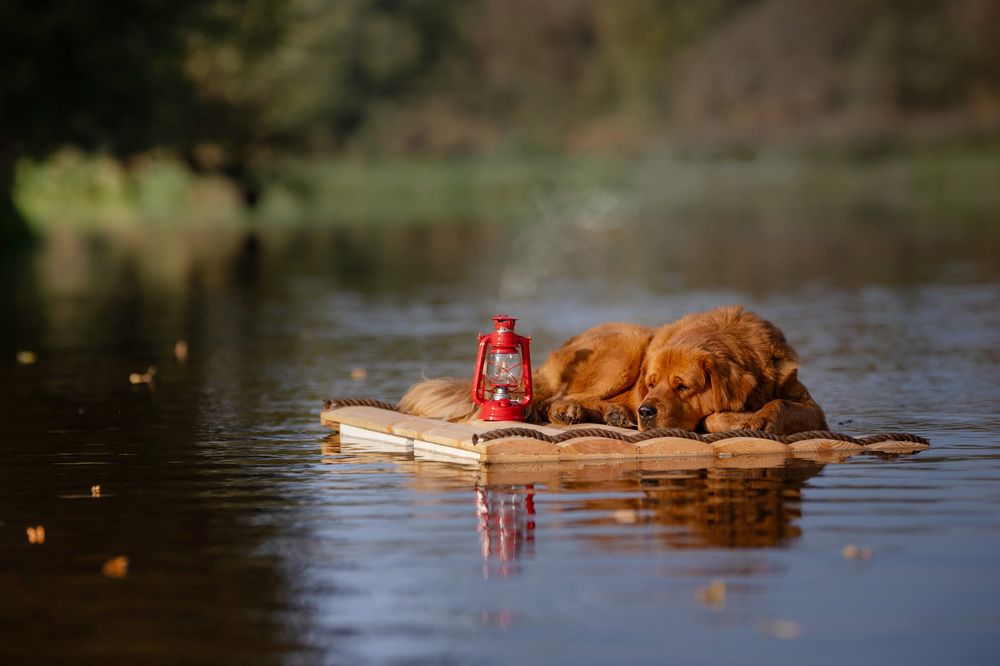 Photograph by Elena Yakuseva