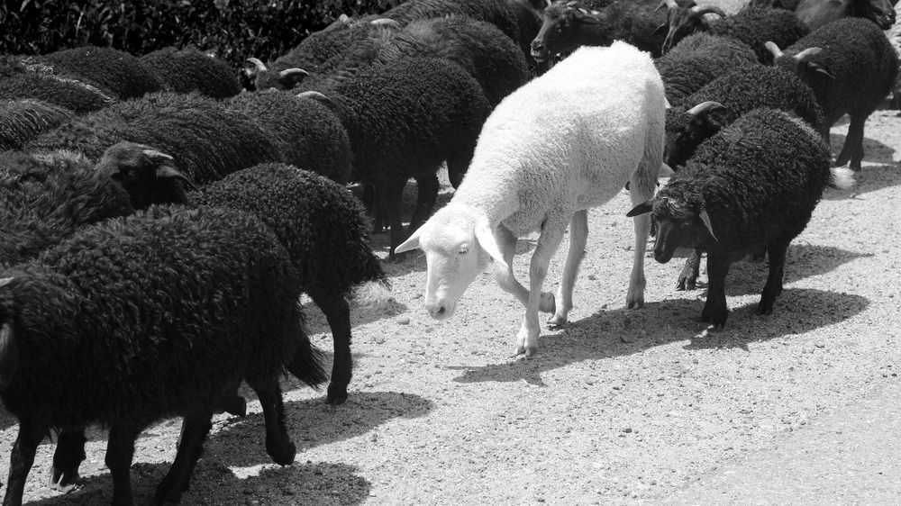 Photograph by Дарья