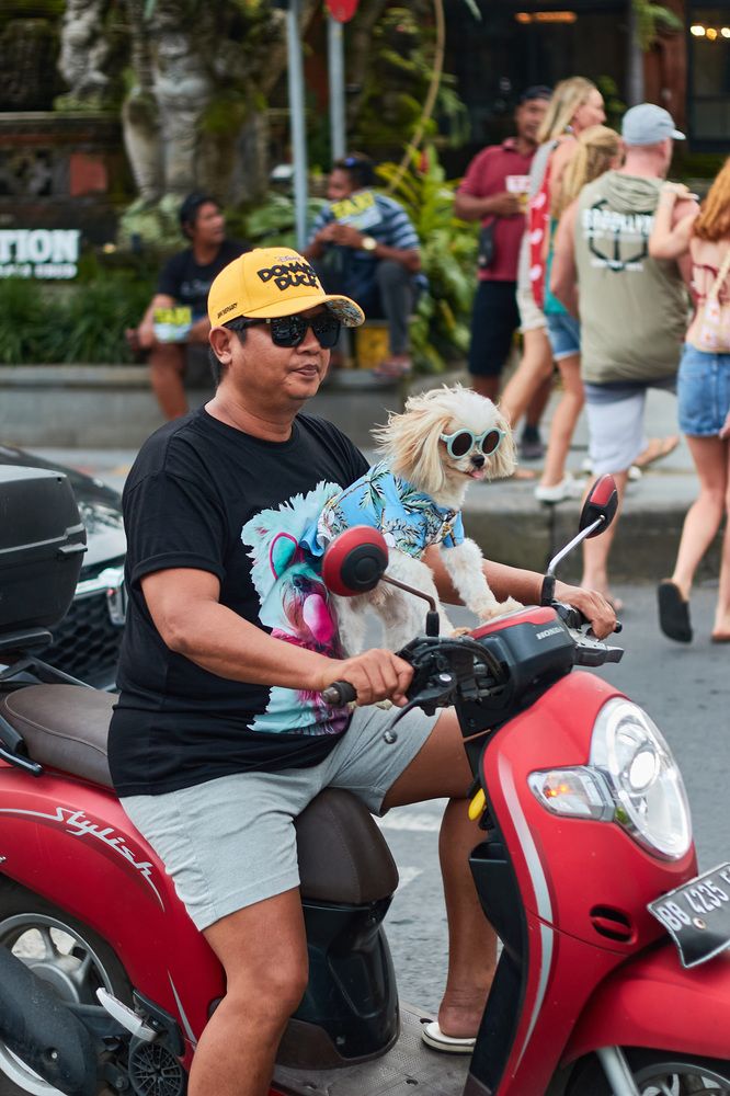 Фотография автора Павел Золенко