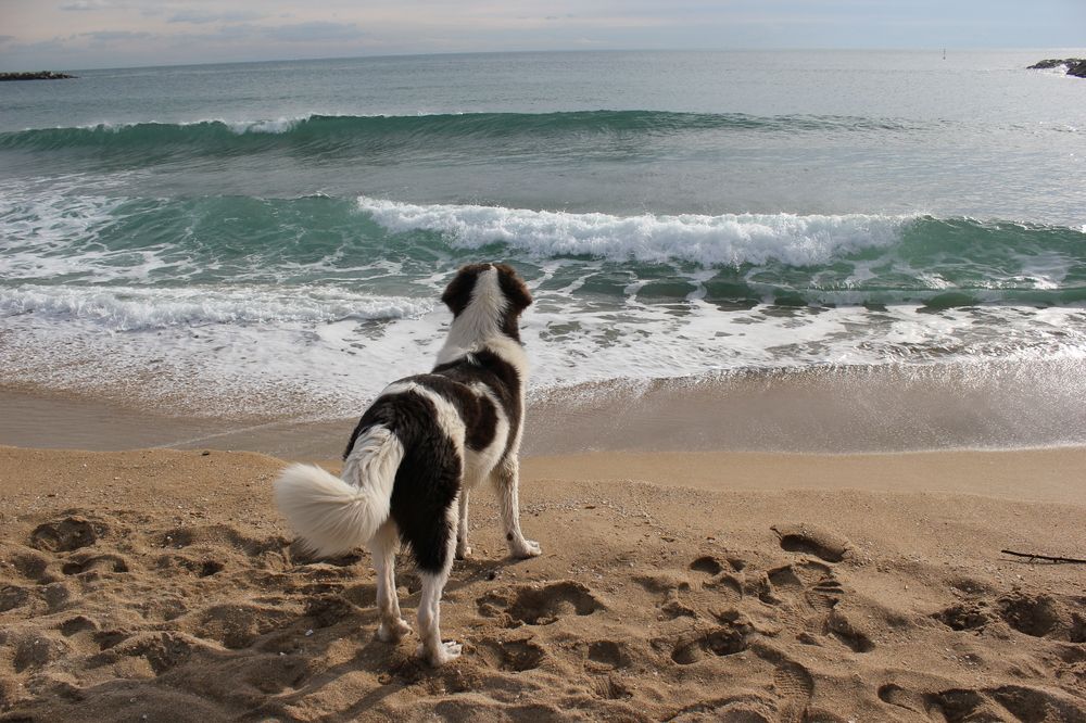 Фотография автора Василиса Новикова