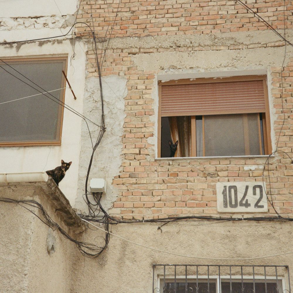 Photograph by Виктория смирнова