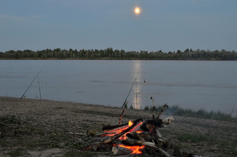 Photograph by Карпенко Александр