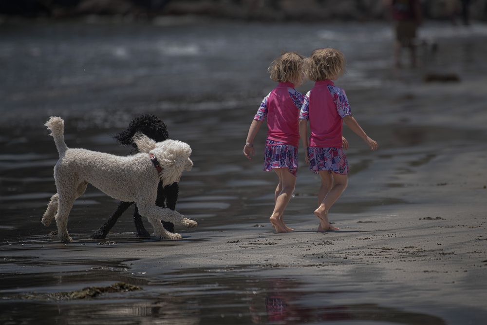 Four Footsteps, Two Shadows