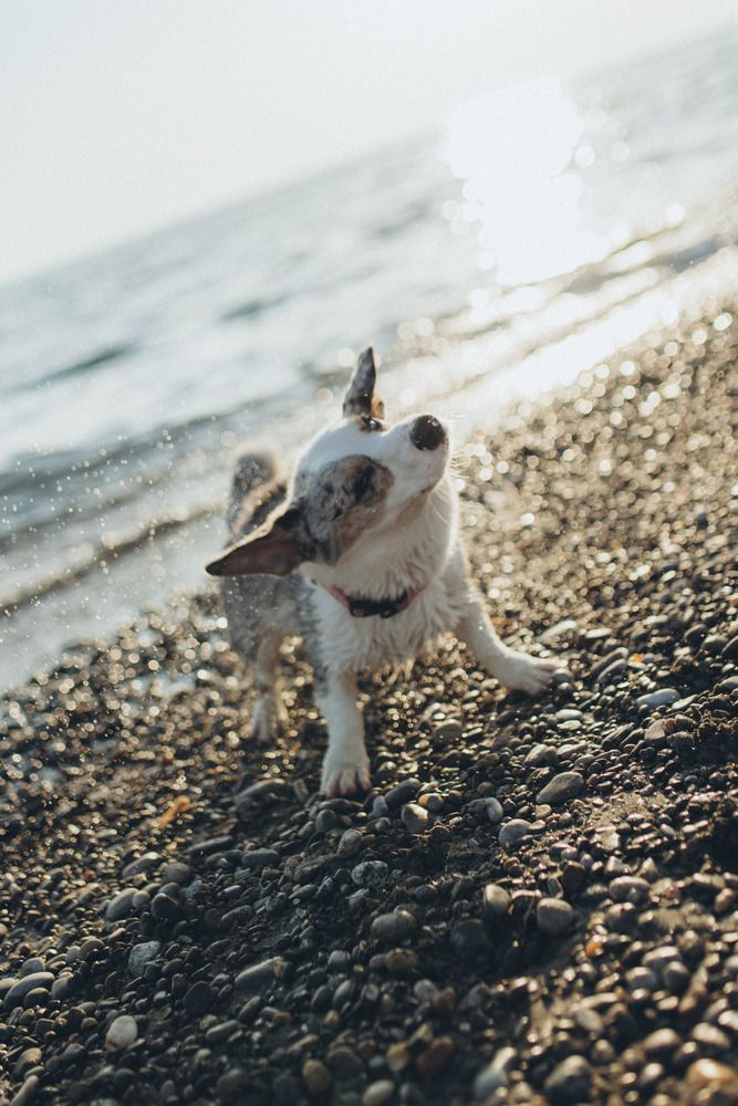 Photograph by Маргарита Поганова