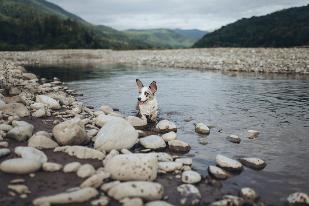 Photograph by Маргарита Поганова