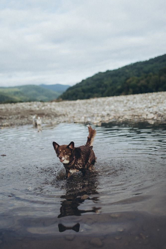 Photograph by Маргарита Поганова