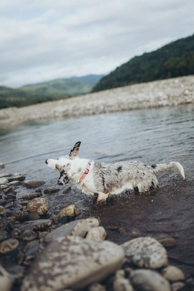 Photograph by Маргарита Поганова