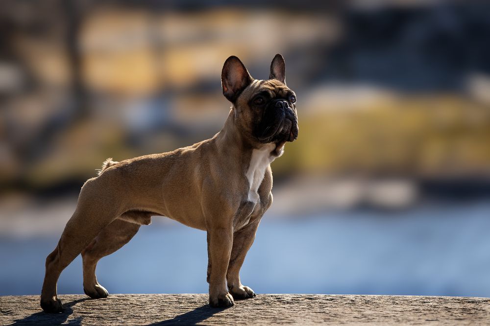 Photograph by Елена Самусенкова