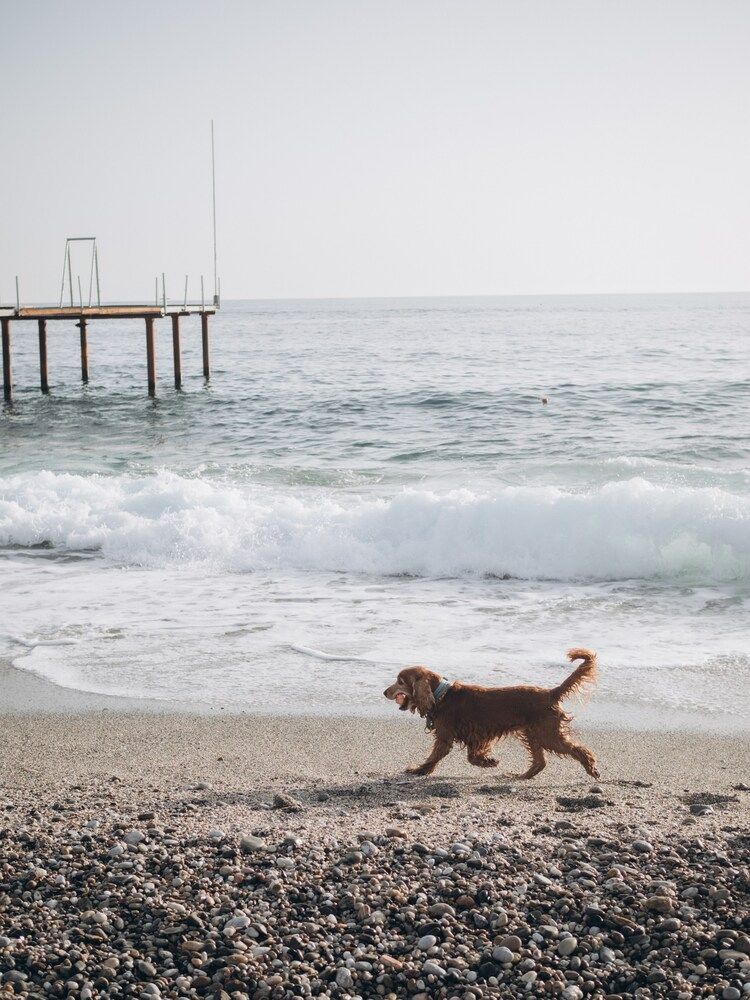 Photograph by Elena Yilmaz