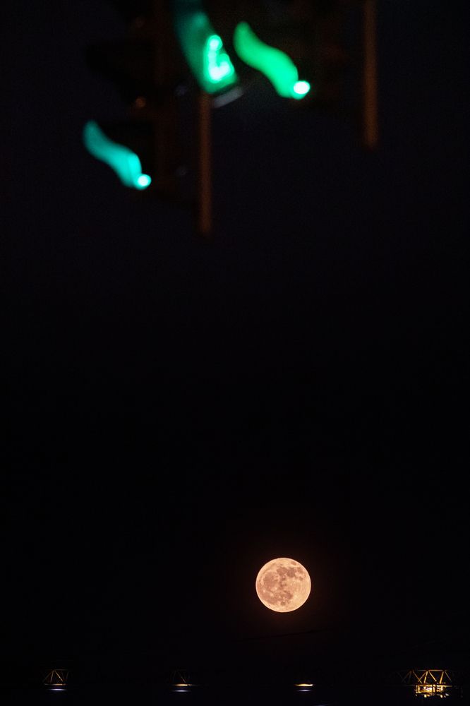 Photograph by Quyen Nguyen Huu