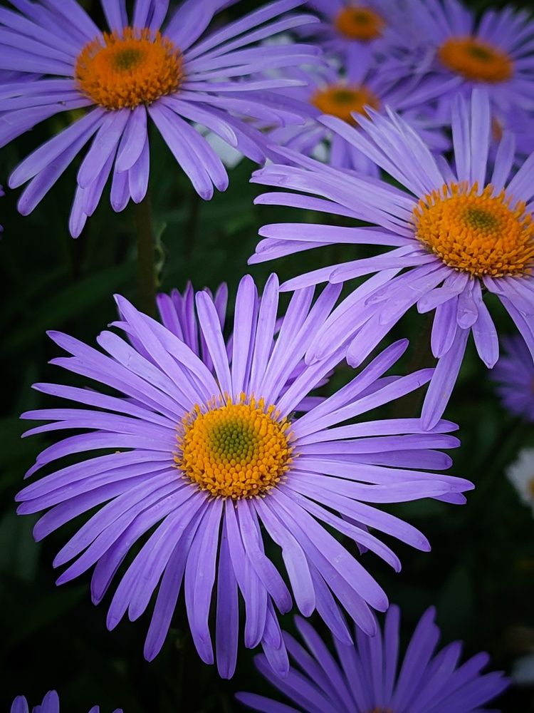 Photograph by Наталья Низовцева