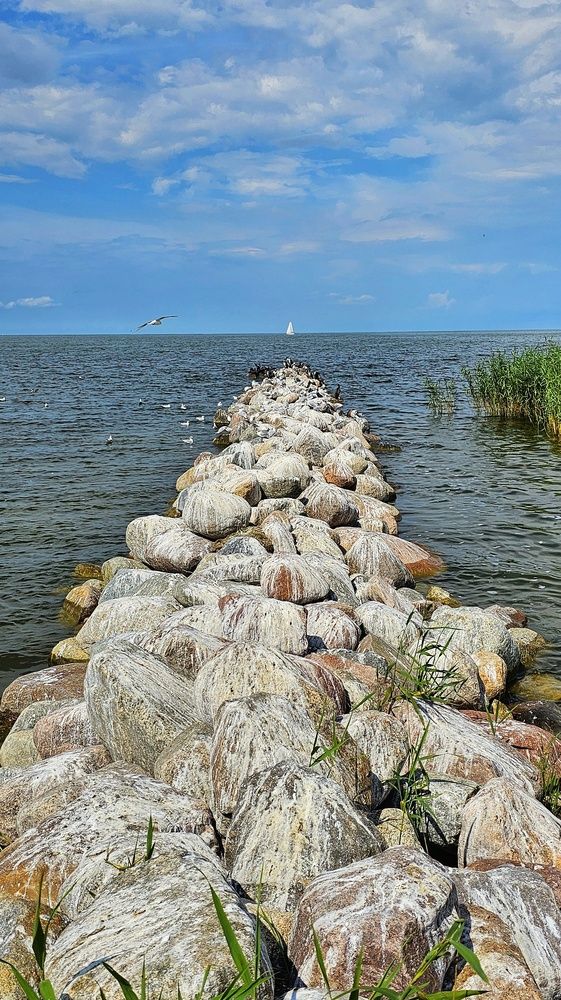 Куршский залив.