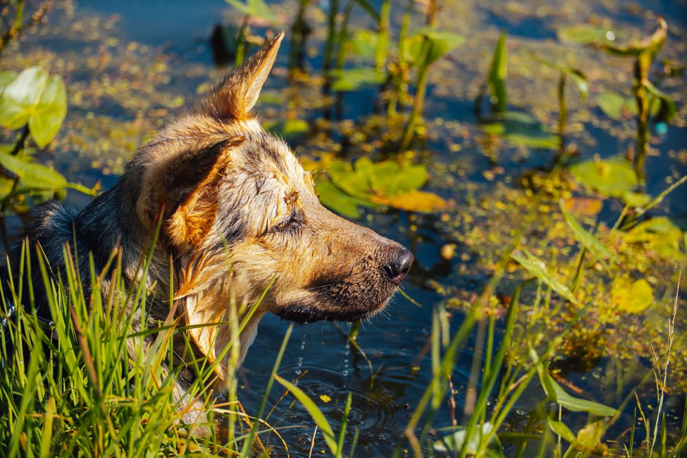 Photograph by Степоненкова Екатерина