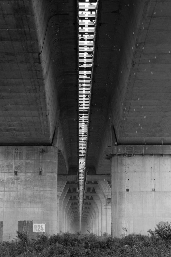 Photograph by Tô Đàm Quân