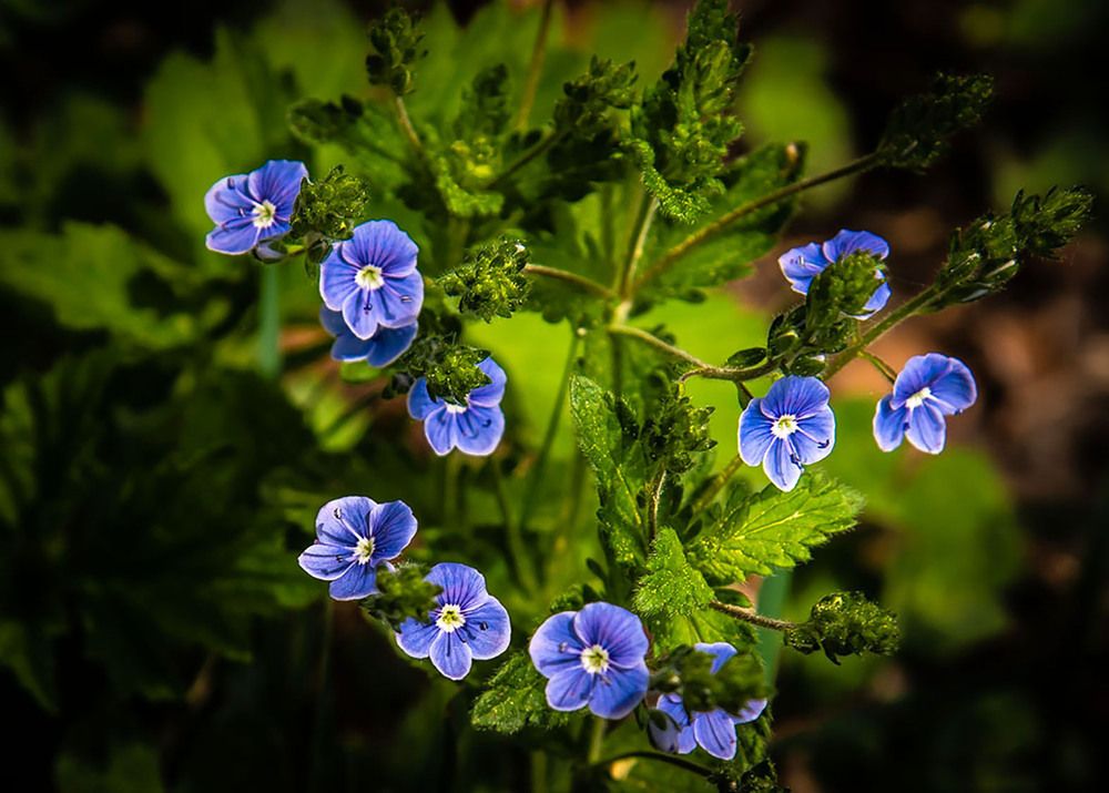 В глубине тайги.