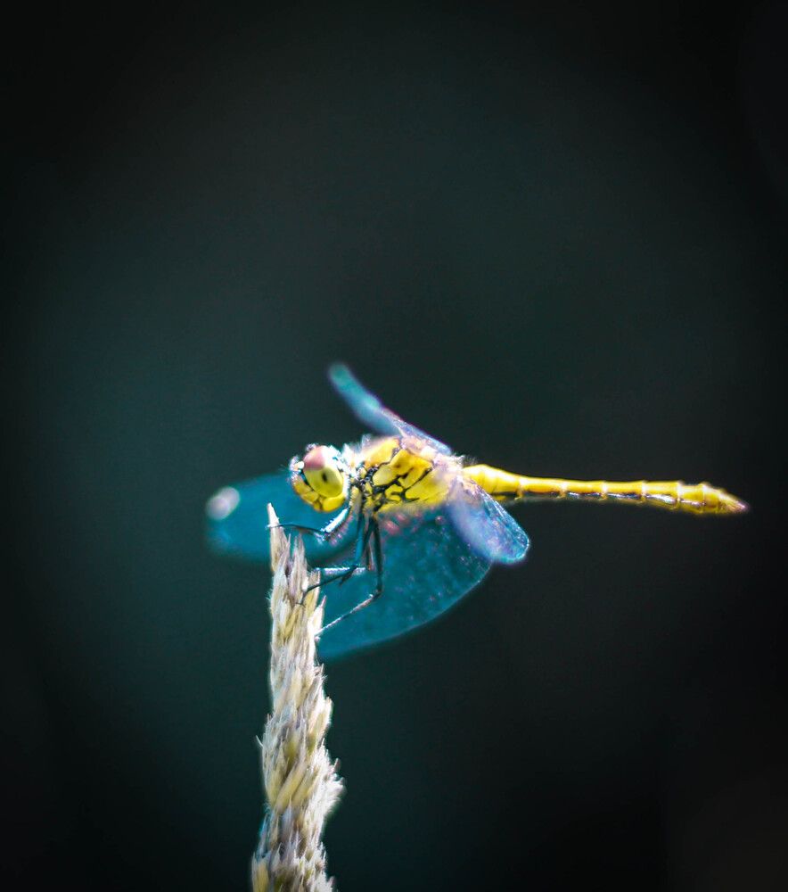 Photograph by Любовь Иванова