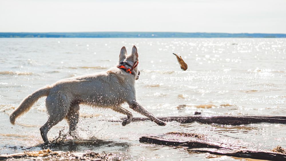 Photograph by Алина Плотникова