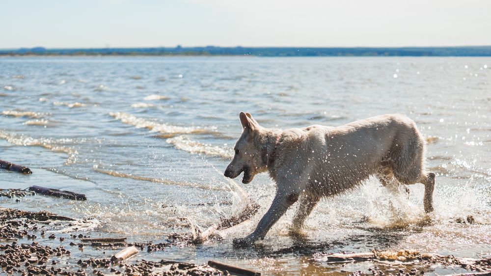 Photograph by Алина Плотникова