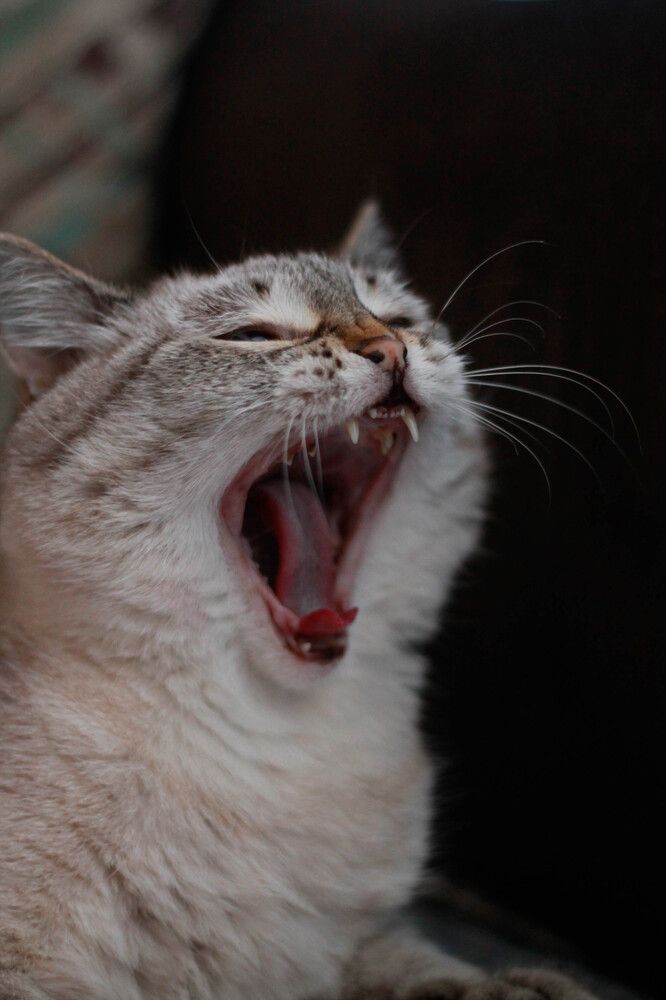 Photograph by Любовь Иванова