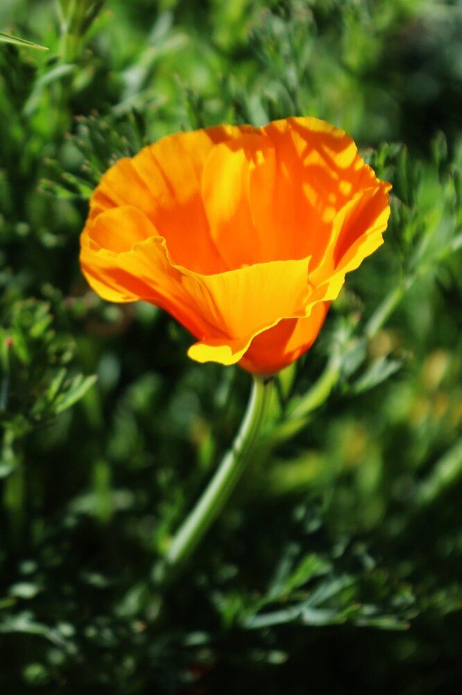 Photograph by Mila Nikolova