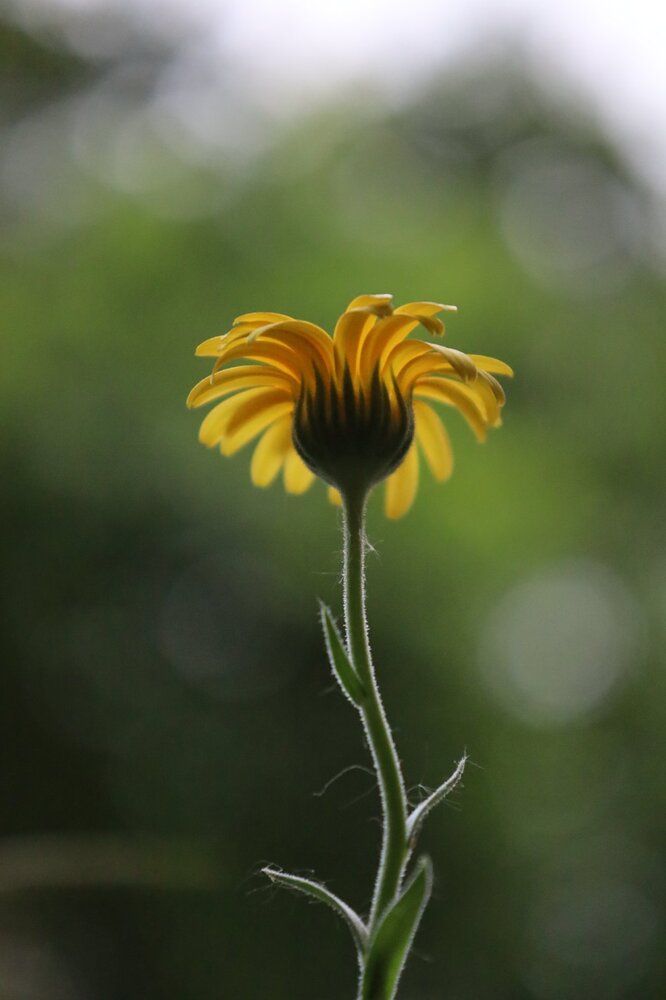 Photograph by Mila Nikolova