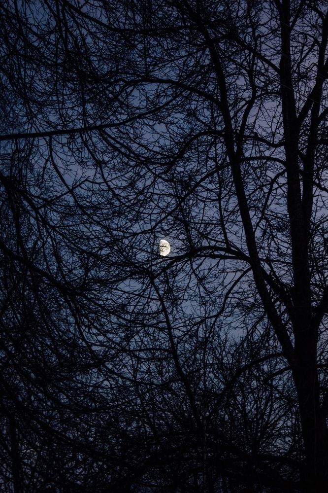 Photograph by Сергей Макаров