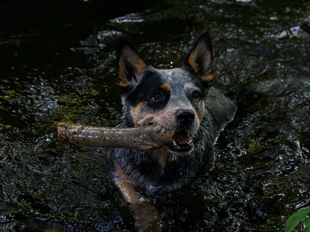 Фотография автора Daniela Retzer